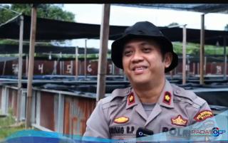 Kapolsek Medan Baru Inisiasi Budidaya Lele, Dorong Ketahanan Pangan dan Ekonomi Warga